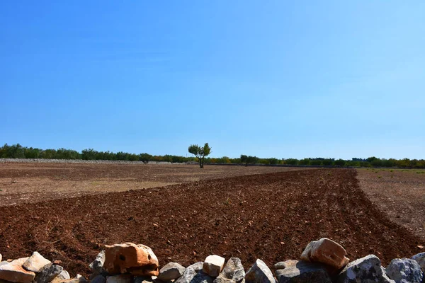 Italy, Puglia, typical stone dry stone walls to delimit roads and land properties.