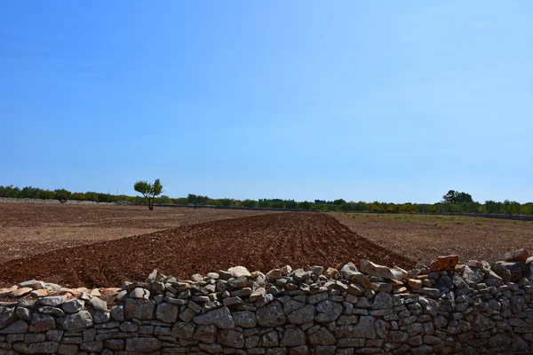 İtalya, Puglia, yollar ve arazi özellikleri sınırlandırmak için tipik taş Kuru taş duvarlar.