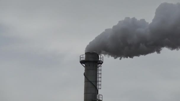 Industrial Chimney Stack Expels Steam Air — Stock Video