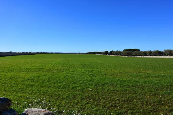 Itália Região Puglia Paisagens Típicas Campo Terras Cultivadas — Fotografia de Stock