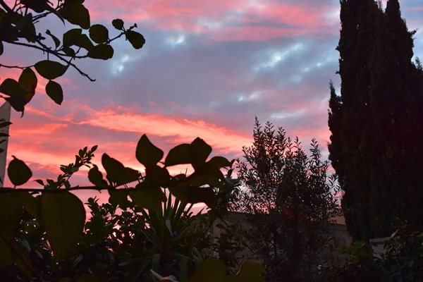 Sunrise Trees — Stock Photo, Image