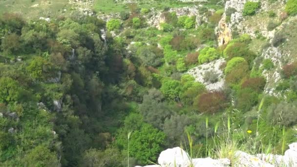 Italia Matera Piedras Matera Sitio Unesco Panorama Gravina Ciudad — Vídeo de stock