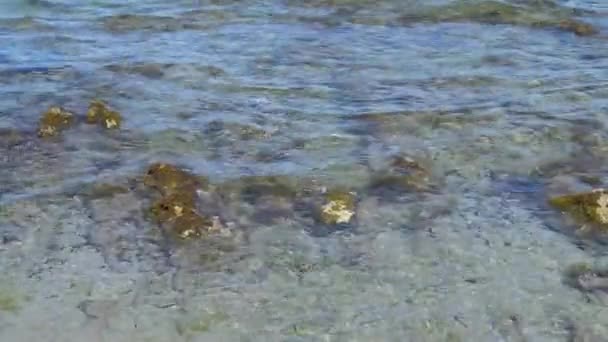 Italia Otranto Panorama Playa — Vídeos de Stock