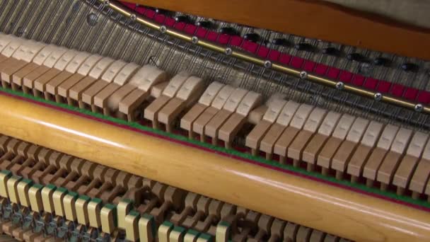 Detail View Piano Playing Fps — Stock Video