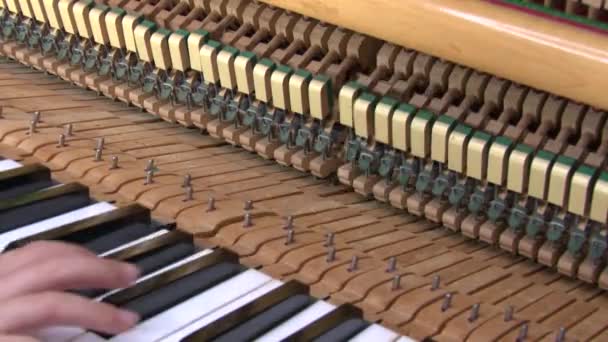 Vista Dettagliata Pianoforte Che Suona Fps — Video Stock