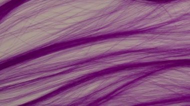 Renkli yapay saç 4K 50 fp