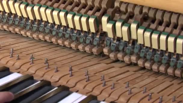 Detailweergave Van Een Piano Die 94Fps Speelt — Stockvideo