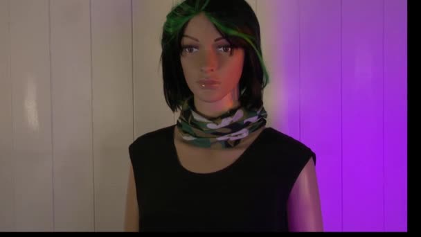 Mannequin Femme Pose Pour Vidéo Ips — Video