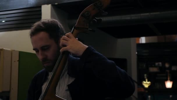 Medium shot van violist optredende live jazz muziek — Stockvideo