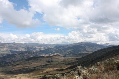 Zirve Paramo 'nun Bogot yakınlarındaki manzarası. Kolombiya, 