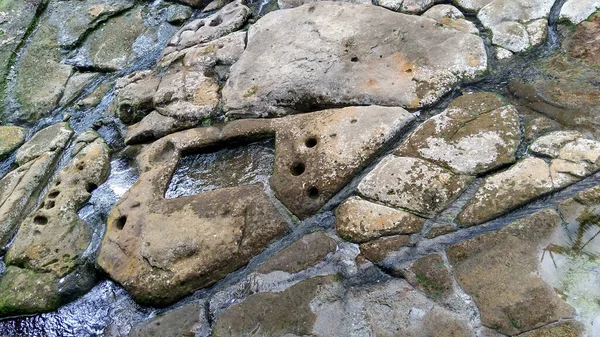 Природный Водный Шрифт Древними Петроглифами Известный Fuente Lavapatas Колумбийском Археологическом — стоковое фото