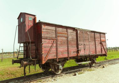Ünlü sığır vagonları, Auschwitz-Birkenau ve diğer Nazi toplama kamplarına hayvan gibi sınır dışı edilmiş insanları taşımak için kullanılıyordu..