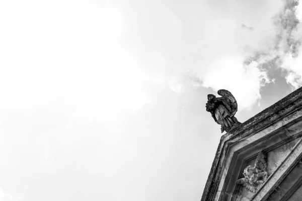 Dwa Posągi Aniołów Mauzoleum Patrząc Słońce Fasoli Czarno Białe Fotografie — Zdjęcie stockowe