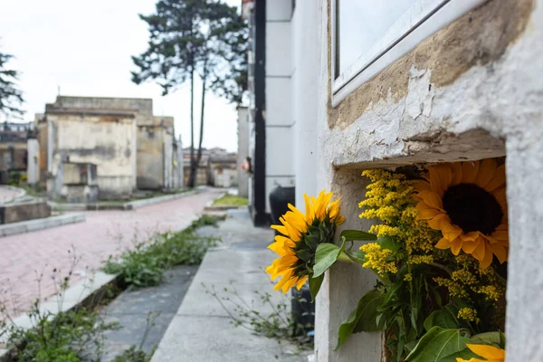 Girassóis Com Pequenas Flores Amarelas Velho Cemitério Lápides — Fotografia de Stock