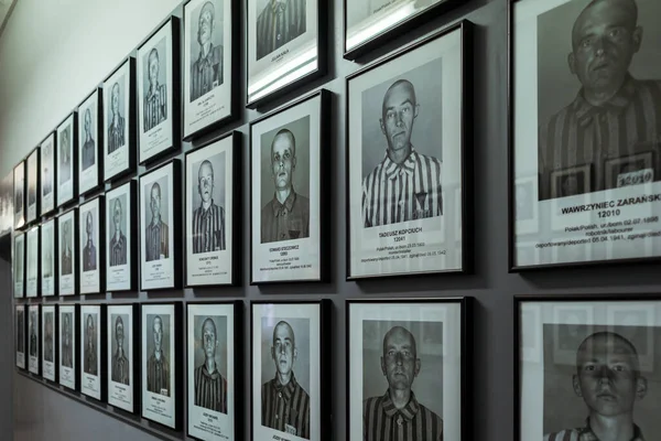 Juifs Gitans Polonais Russes Autres Prisonniers Portraits Dans Musée Nazi — Photo