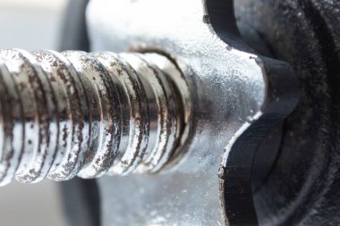 Demir çubuk ve ahmaklar için makro fotoğrafçılık. Fitness, spor ve sağlıklı yaşam için ideal..