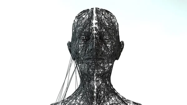 Retrato facial. Cabeça de wireframe 3D — Fotografia de Stock