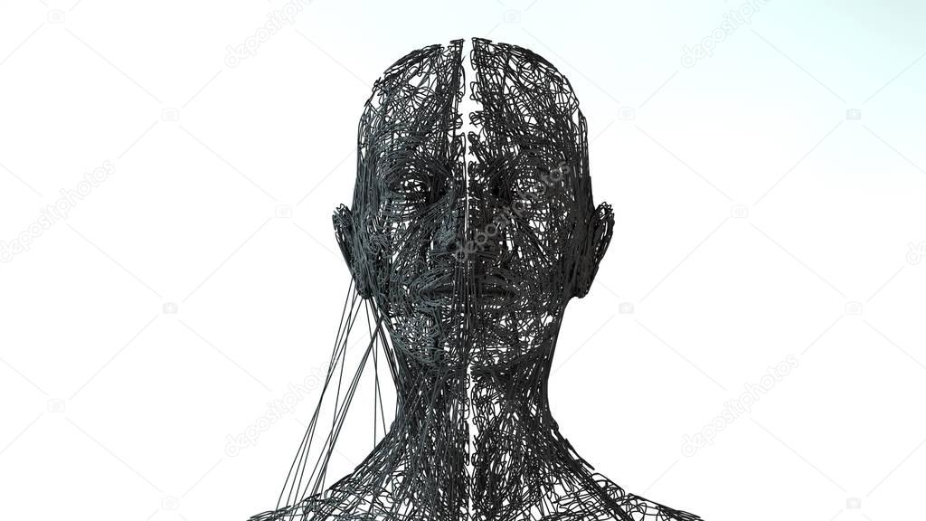 Face portrait. 3D wireframe head