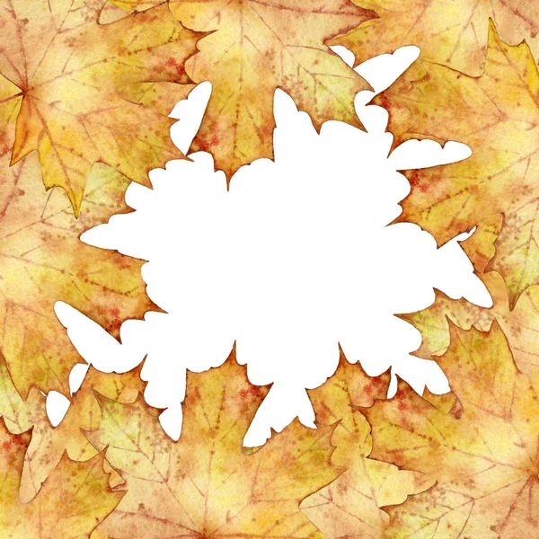 maple leaves on a white background watercolor