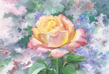 bir arka plan üzerinde gül çiçek