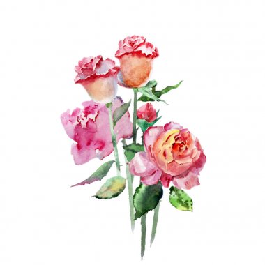 Beyaz arkaplanda bir buket gül