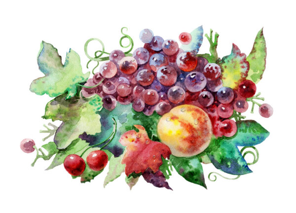 Fruits on white background. Fruit dessert drawn in watercolor. Beautiful watercolor illustration.