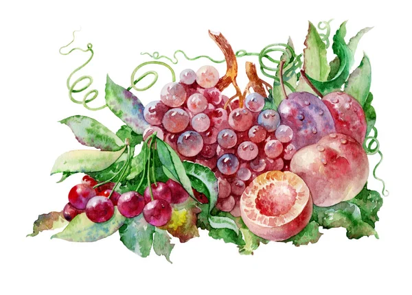 白い背景の果物 白い背景には色とりどりの果物が孤立している 美しい手作りの水彩画 ストック画像