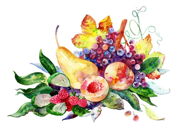 Fruits Baies Aquarelle Sur Papier Blanc Fruit Coloré Isolé Sur — Photo