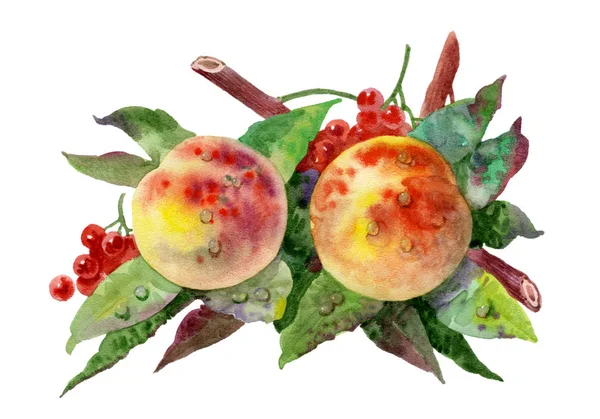 水彩で描いた果物 ロイヤリティフリーのストック画像