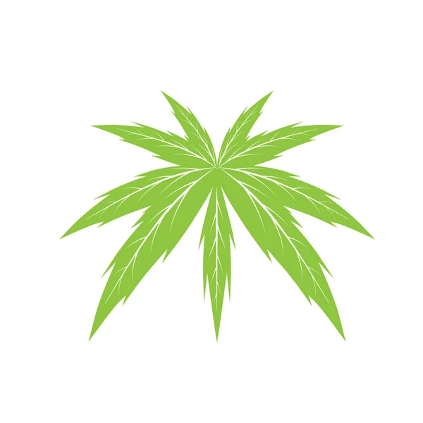 Esrar (marihuana) yaprak vektör çizim  