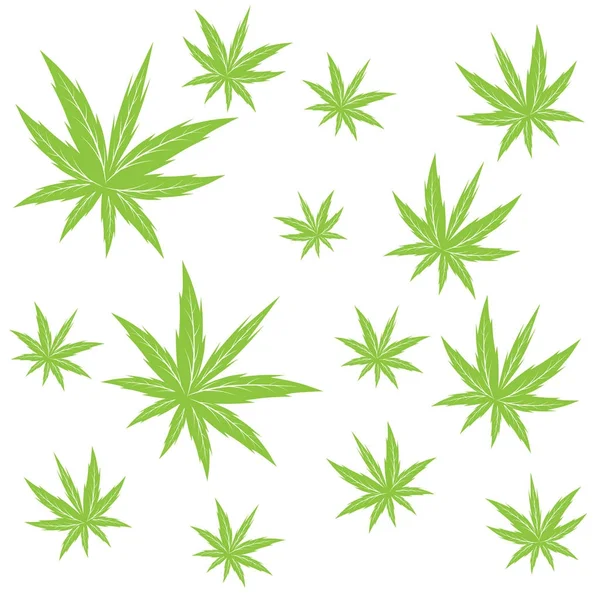 Pattern Cannabis Marijuana Leaf Vector Illustration — Stock Vector