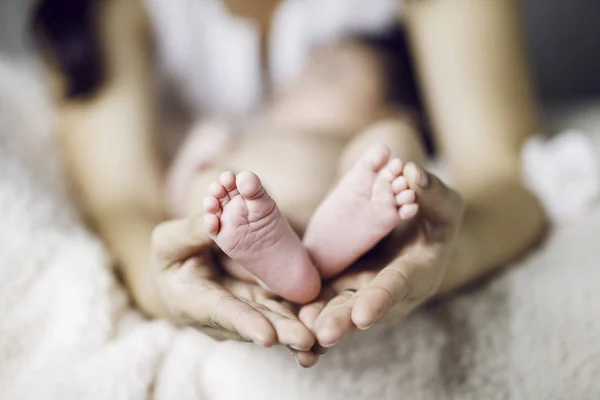 Baby feet in mother hands — Stock Photo, Image