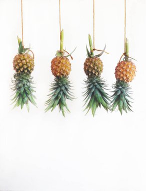 Ananas, asılı beyaz geri zemin