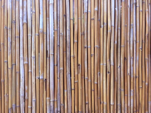 Bambu duvar veya bambu çit doku arka plan. — Stok fotoğraf