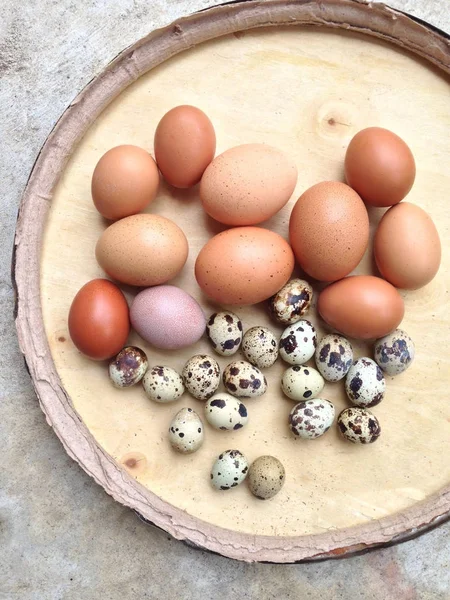 Ovos de galinha e ovos de codorna em placa de madeira no fundo de cimento — Fotografia de Stock