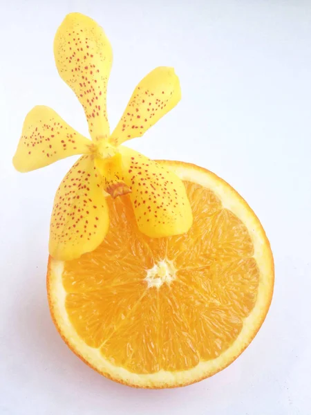 鲜橙色和白色背景上的切片. — 图库照片