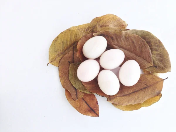 Huevos de pato sobre hojas secas — Foto de Stock