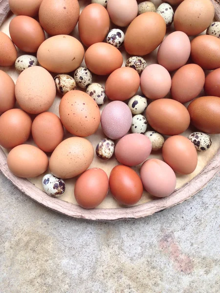 닭 계란과 시멘트 배경에 나무 접시에 메 추 라 기 달걀 — 스톡 사진