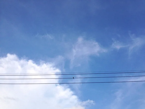 Elektrická vedení jsou na obloze a ptáček — Stock fotografie