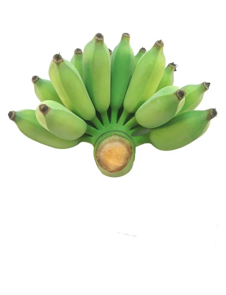 Banana verde cultivada sobre fundo branco — Fotografia de Stock