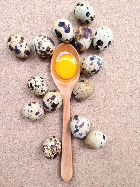 Ovos de codorna com gema de ovo em colher de madeira em contraplacado — Fotografia de Stock