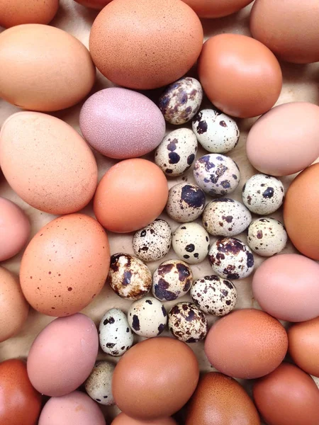 Ovos de galinha e ovos de codorna — Fotografia de Stock