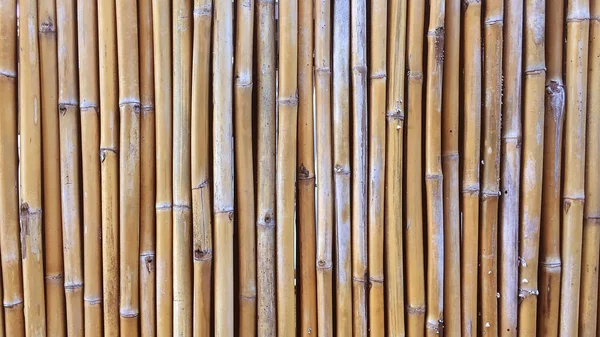 Bambu vägg eller bambu staket textur bakgrund. — Stockfoto