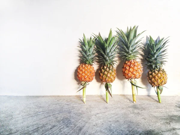 Çimento katta izole ananas