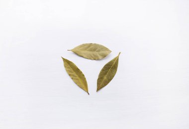 Beyaz ahşap zemin üzerinde kurutulmuş defne yaprağı.