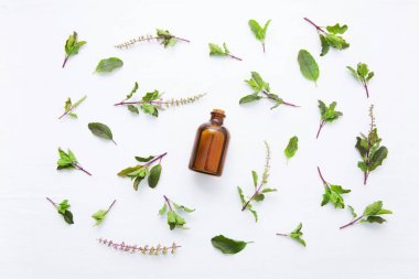 Kutsal fesleğen uçucu yağ taze kutsal Basi ile cam şişede