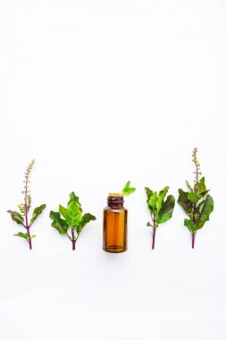 Kutsal fesleğen uçucu yağ taze kutsal fesleğen ile cam şişede