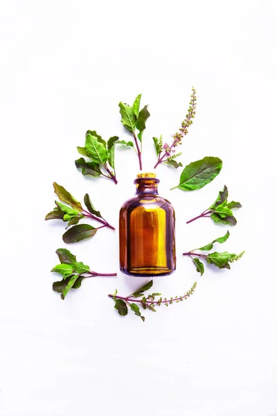 Aceite esencial de albahaca en una botella de vidrio con albahaca fresca — Foto de Stock