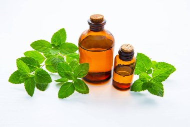Beyaz arka plan üzerinde taze nane yaprakları ile cam şişede doğal nane esans.