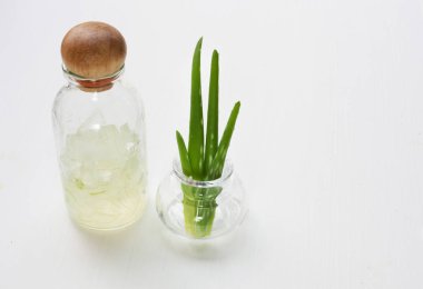 Aloe vera jel ve Aloe Vera yaprağı üzerinde izole küçük şişede 